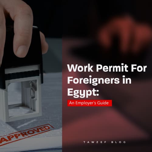 work permit for foreigners in egypt, an employer's guide 