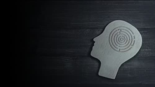 Psychometric Assessments Hero